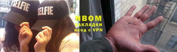 индика Сясьстрой
