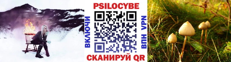 Галлюциногенные грибы Psilocybe  Липецк 